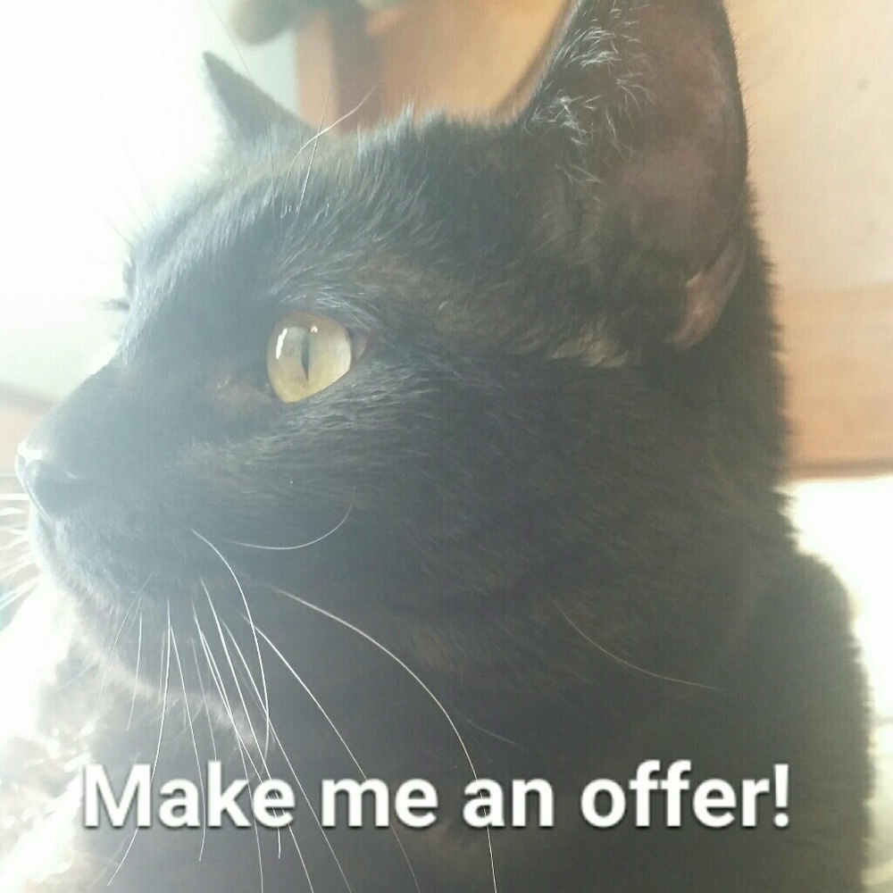 Make me an offer!